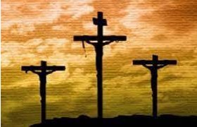 포토갤러리 최근게시…